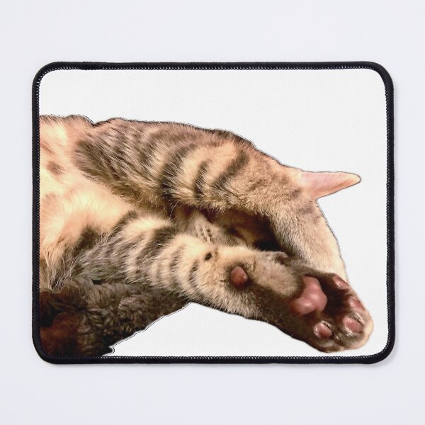 Item preview, Sleepy kitten, hobbies include napping  designed and sold by aadventures.