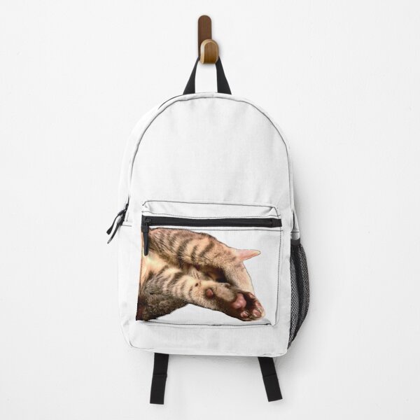 Item preview, Sleepy kitten, hobbies include napping  designed and sold by aadventures.