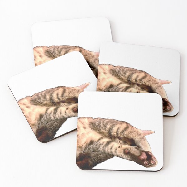 Item preview, Sleepy kitten, hobbies include napping  designed and sold by aadventures.