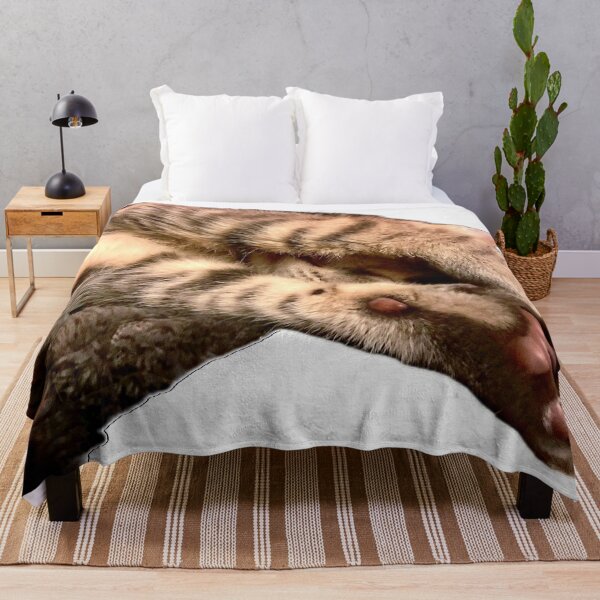 Item preview, Sleepy kitten, hobbies include napping  designed and sold by aadventures.