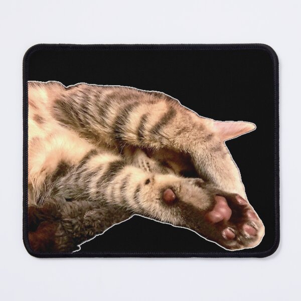 Item preview, Sleepy kitten, hobbies include napping designed and sold by aadventures.