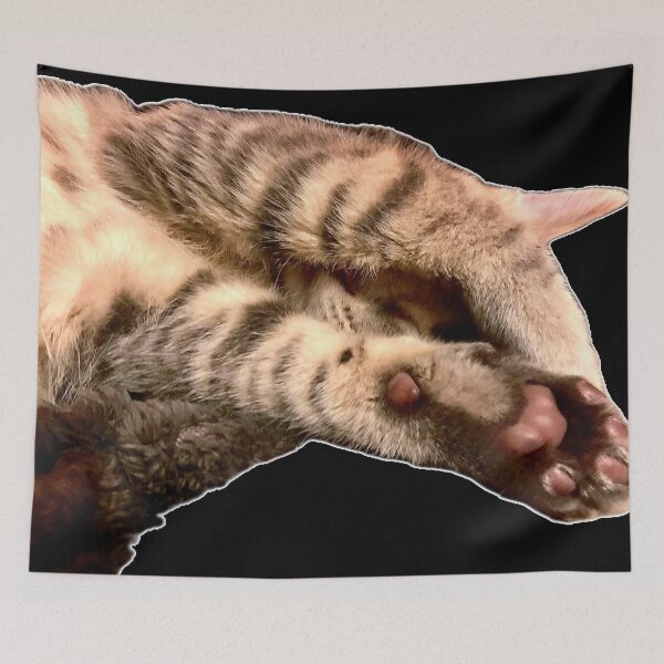 Item preview, Sleepy kitten, hobbies include napping  designed and sold by aadventures.
