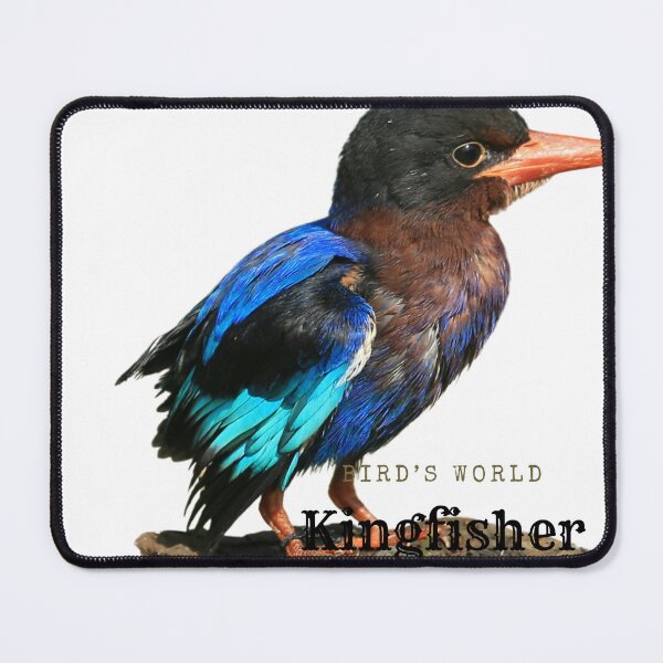 Item preview, Bird's world- Kingfisher  designed and sold by NG4ever.