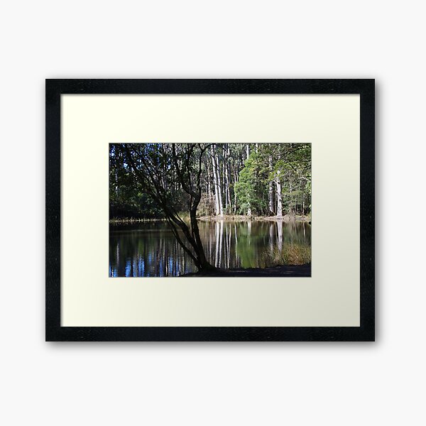 Item preview, Sanitorium Lake, Victoria designed and sold by lezvee.