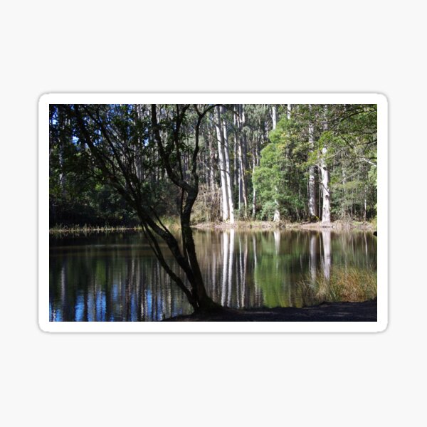 Sanitorium Lake, Victoria Sticker