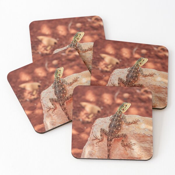 Item preview, Agama Lizard II designed and sold by Eidetic Photos.