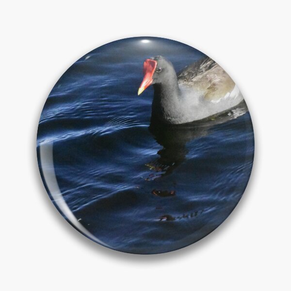 Item preview, Moorhen On Lake Toho designed and sold by MercerImages.