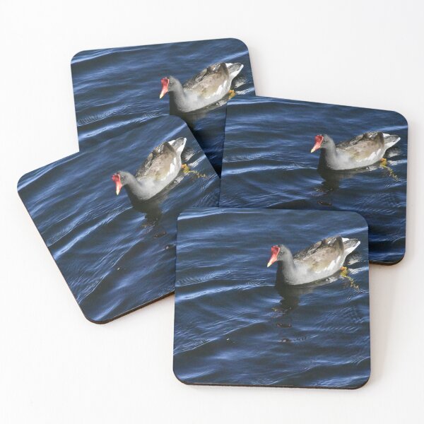 Item preview, Moorhen On Lake Toho designed and sold by MercerImages.