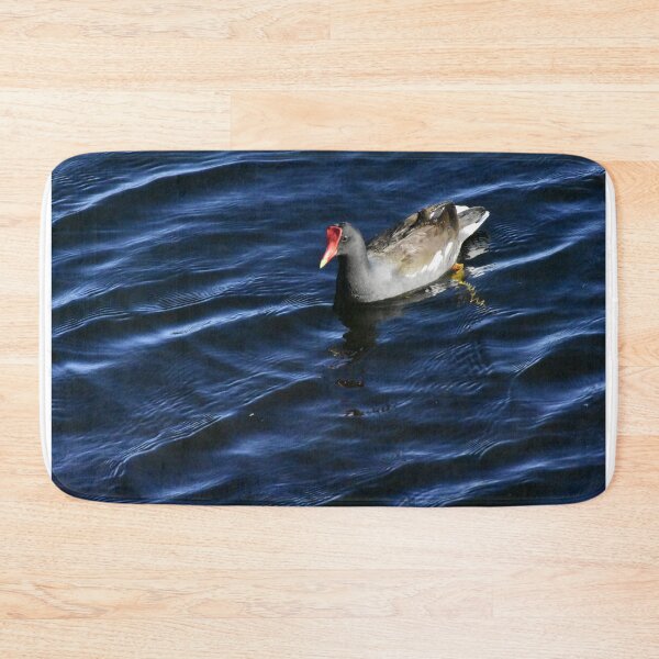 Item preview, Moorhen On Lake Toho designed and sold by MercerImages.