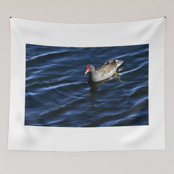 Item preview, Moorhen On Lake Toho designed and sold by MercerImages.