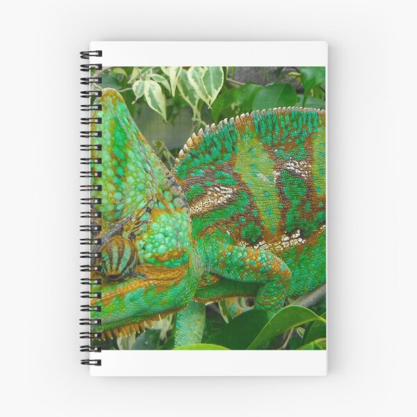 Item preview, Chameleon Eyelids - Juayan - El Salvador - Central America designed and sold by exploramum.