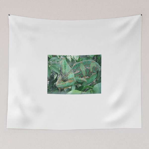 Item preview, Chameleon Muted Tones - Juayan - El Salvador - Central America designed and sold by exploramum.