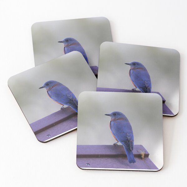 Item preview, Eastern Blue Bird designed and sold by Parks and X.