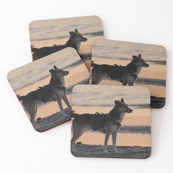 Item preview, Last day of summer designed and sold by Calidris Fotografie Steffi & Ben Köppler.