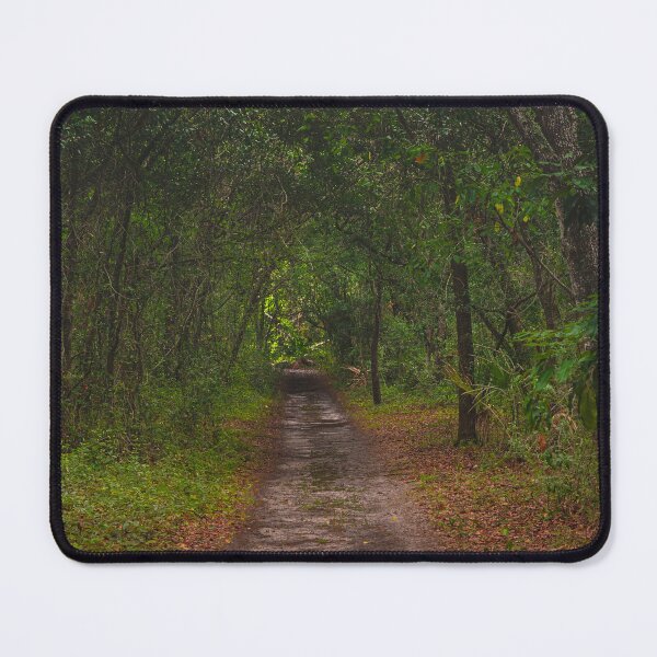 Item preview, A narrow dirt path winds through a dense forest, with trees arching overhead to form a natural canopy designed and sold by EyezWatchin.