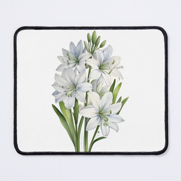 Item preview, White Agapanthus (Agapanthus africanus) designed and sold by HOMETOWN86.