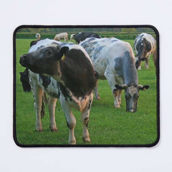 Item preview, Hey, wotcha looking at ... designed and sold by RedHillDigital.