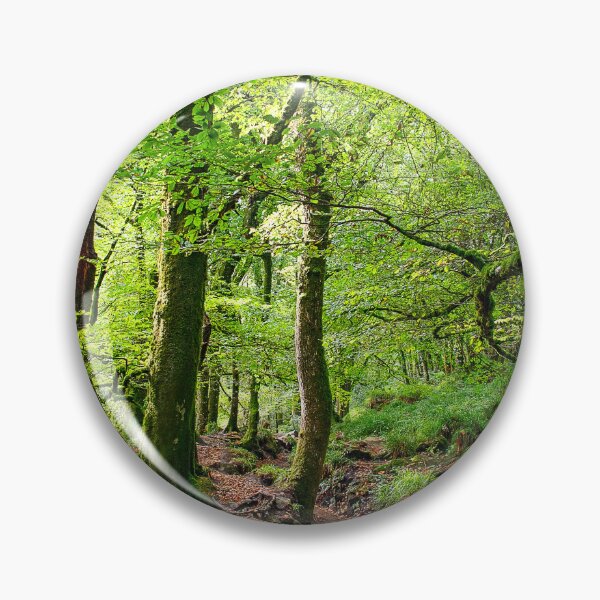 Item preview, Golitha Cornwall designed and sold by Graz-Photos.