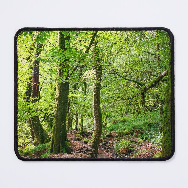 Item preview, Golitha Cornwall designed and sold by Graz-Photos.