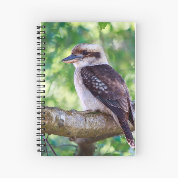 Kooka Looking Spiral Notebook