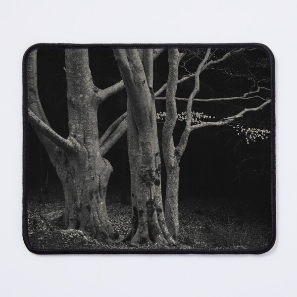 Item preview, Beech Tree designed and sold by David Bowman.