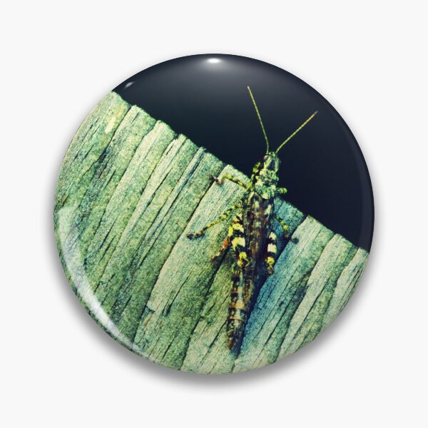 Item preview, 'Canandaigua Grasshopper'   designed and sold by ArtAllington.