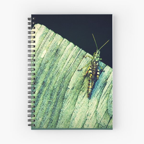 Item preview, 'Canandaigua Grasshopper'   designed and sold by ArtAllington.