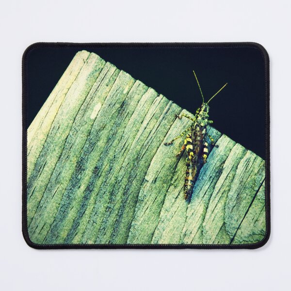 Item preview, 'Canandaigua Grasshopper'   designed and sold by ArtAllington.