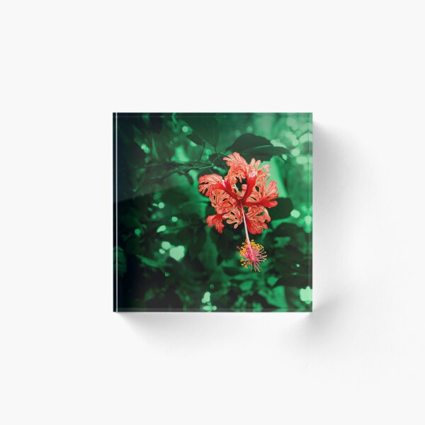 Aperçu de l'œuvre Hibiscus dans la forêt créée et vendue par Lys-Design.