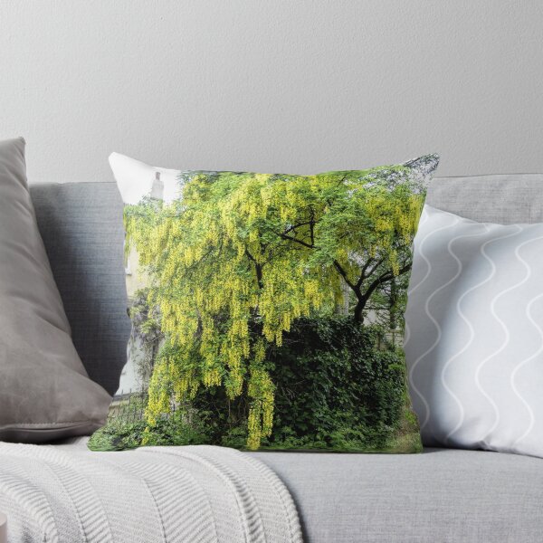 Item preview, Beautiful Laburnum Tree ..............Lyme Dorset UK designed and sold by lynn carter.