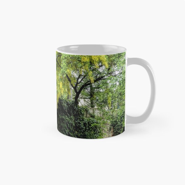 Item preview, Beautiful Laburnum Tree ..............Lyme Dorset UK designed and sold by lynn carter.