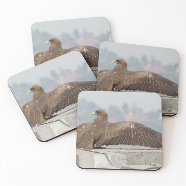 Item preview, Yellow-billed kite in Kigali designed and sold by wu-wei.