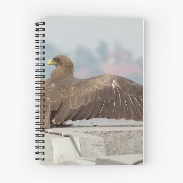 Item preview, Yellow-billed kite in Kigali designed and sold by wu-wei.
