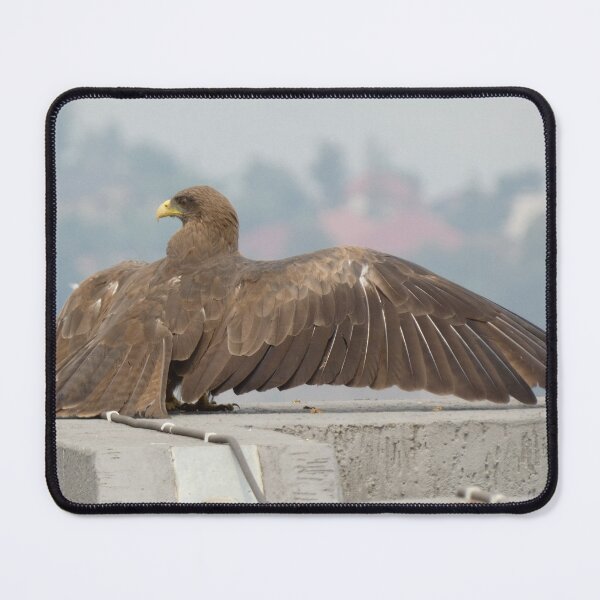 Item preview, Yellow-billed kite in Kigali designed and sold by wu-wei.