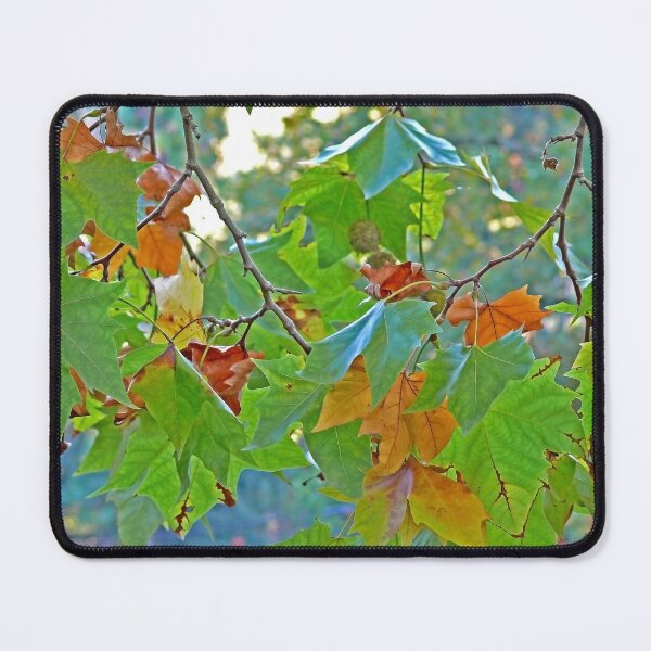 Item preview, falling in love designed and sold by Tereza Pilar Art.