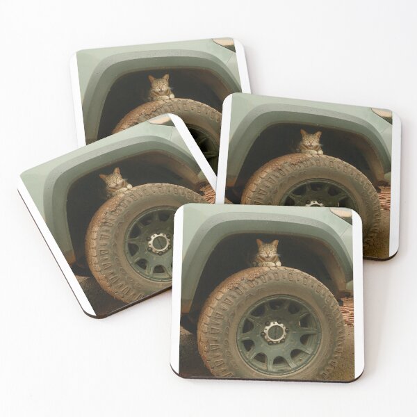Item preview, Cat Photography Volume I designed and sold by shotbykirst.