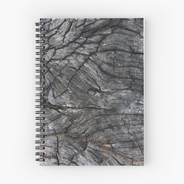 Item preview, Patterns on tree stumps designed and sold by KinImageCraft.