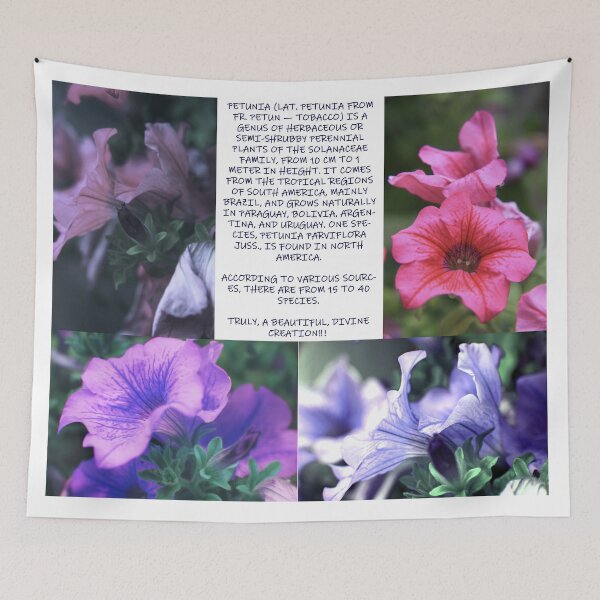 Item preview, Petunia designed and sold by Kacharava.