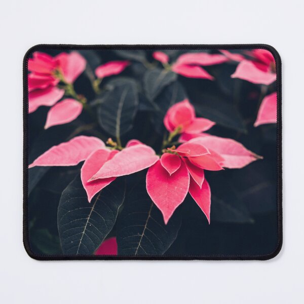 Item preview, Poinsettia Pink designed and sold by KAY Artists.