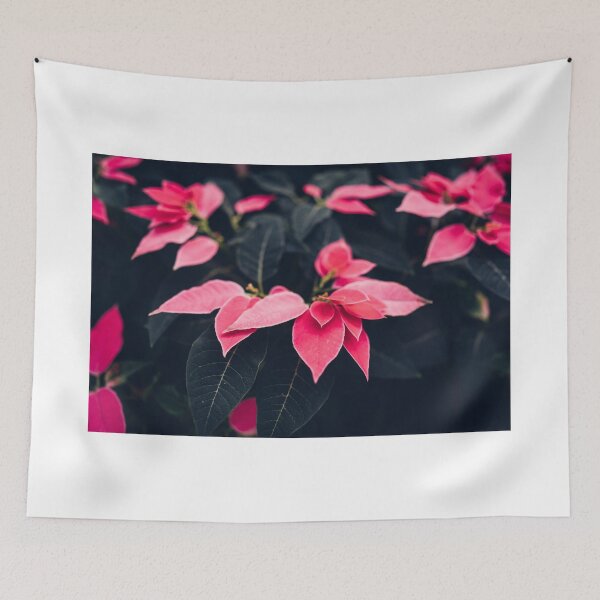 Item preview, Poinsettia Pink designed and sold by KAY Artists.