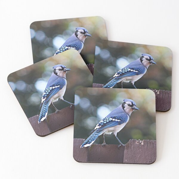 Item preview, Beautiful Blue Jay Resting on Fence designed and sold by peaches23.