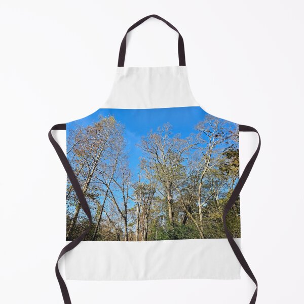 Item preview, Tall trees designed and sold by Larrysphotos.