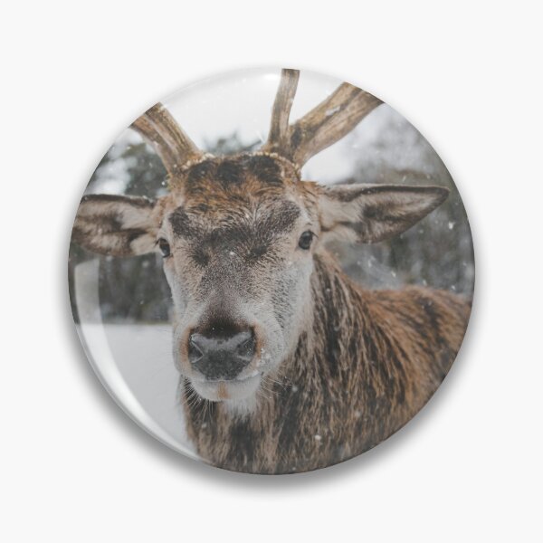 Item preview, Wildlife close-up designed and sold by KAY Artists.