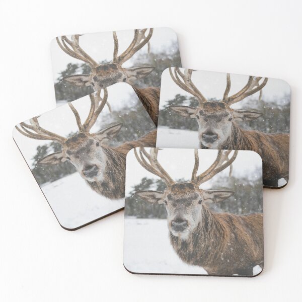 Item preview, Wildlife close-up designed and sold by KAY Artists.