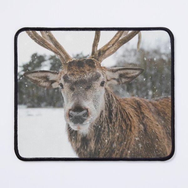 Item preview, Wildlife close-up designed and sold by KAY Artists.