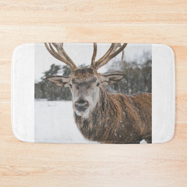 Item preview, Wildlife close-up designed and sold by KAY Artists.