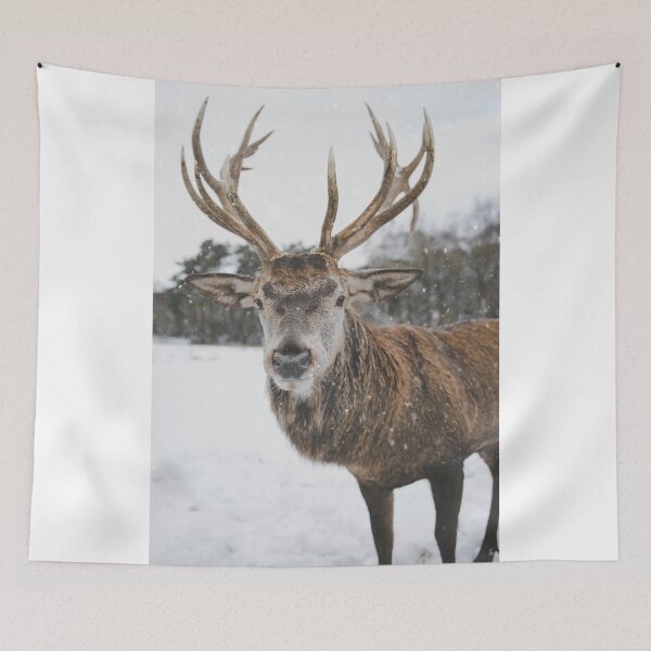 Item preview, Wildlife close-up designed and sold by KAY Artists.