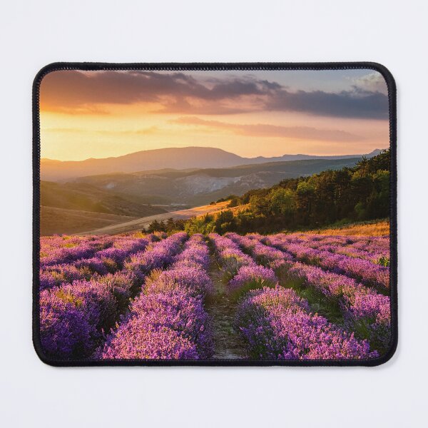 Item preview, A breathtaking view of a lavender field at sunrise, with rolling hills and a distant horizon designed and sold by homydesign.