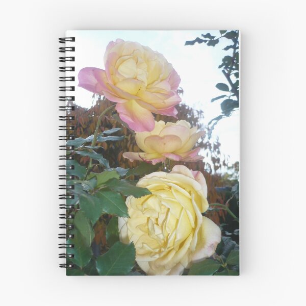 Item preview, Rose trio designed and sold by AmandaWitt.