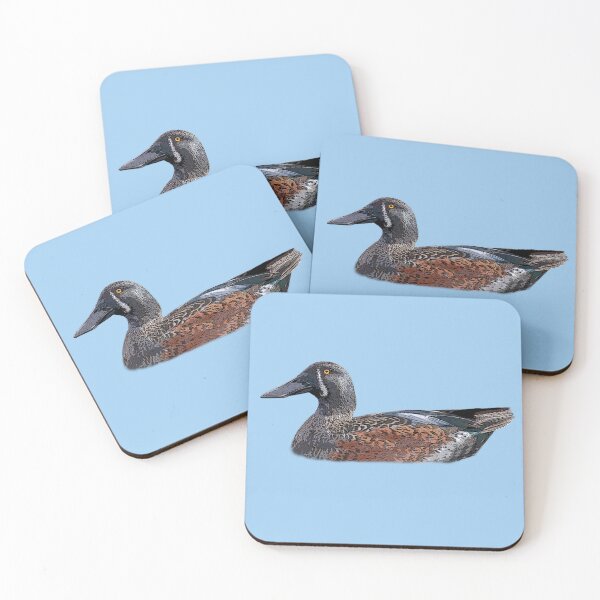 Item preview, Australasian Shoveler Color Design  designed and sold by designsasstultd.